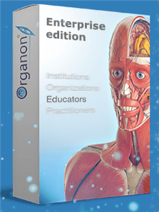 3D Organon Enterprise Edition